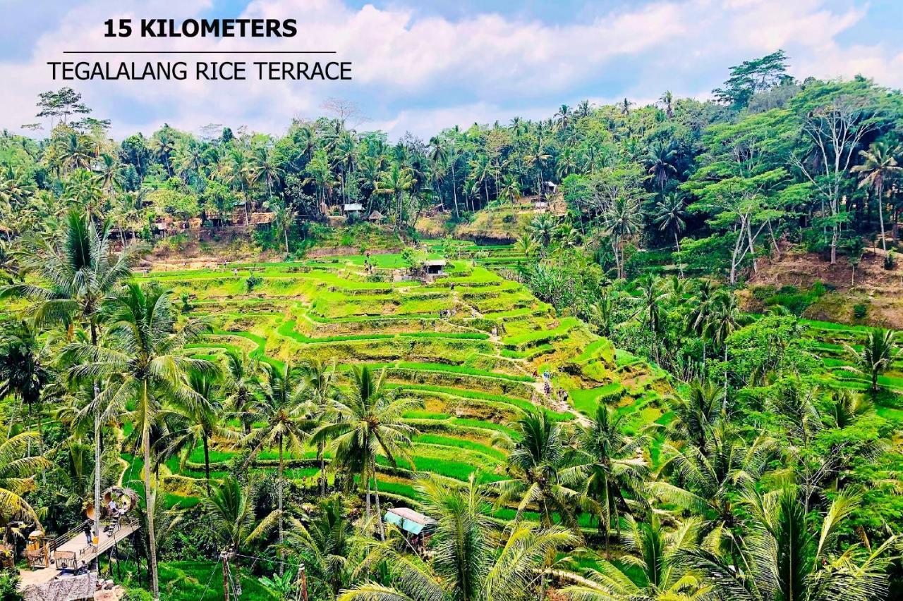 Anyuta Rai Villa Ubud מראה חיצוני תמונה